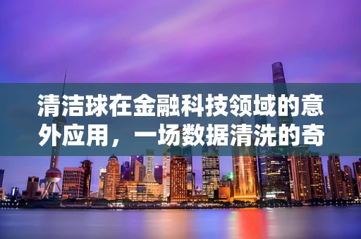 清洁球在金融科技领域的意外应用，一场数据清洗的奇妙比喻