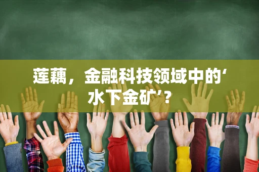 莲藕，金融科技领域中的‘水下金矿’？