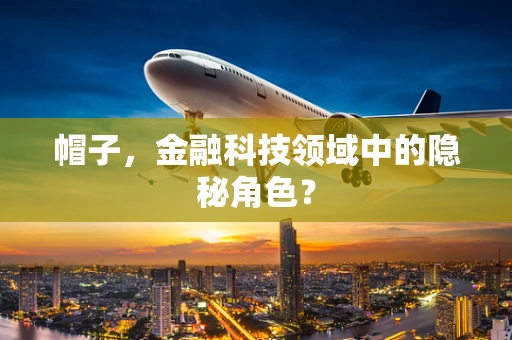 帽子，金融科技领域中的隐秘角色？
