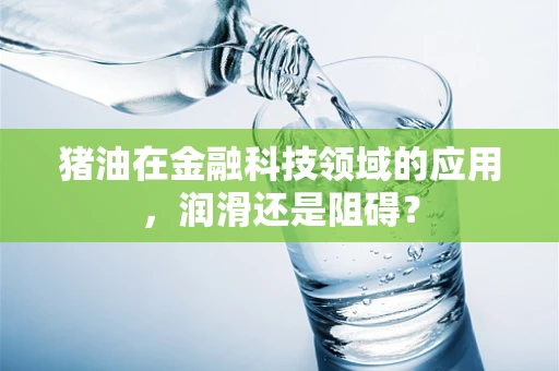 猪油在金融科技领域的应用，润滑还是阻碍？