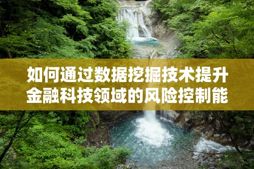 如何通过数据挖掘技术提升金融科技领域的风险控制能力？