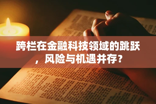 跨栏在金融科技领域的跳跃，风险与机遇并存？