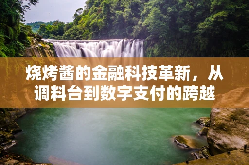 烧烤酱的金融科技革新，从调料台到数字支付的跨越