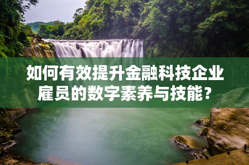 如何有效提升金融科技企业雇员的数字素养与技能？