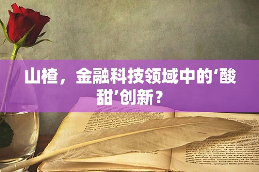 山楂，金融科技领域中的‘酸甜’创新？