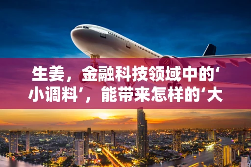 生姜，金融科技领域中的‘小调料’，能带来怎样的‘大味道’？