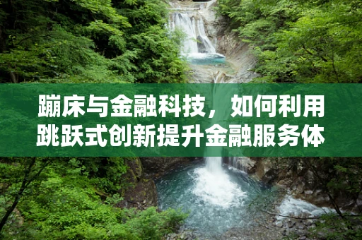 蹦床与金融科技，如何利用跳跃式创新提升金融服务体验？