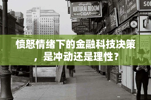 愤怒情绪下的金融科技决策，是冲动还是理性？