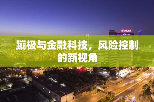 蹦极与金融科技，风险控制的新视角