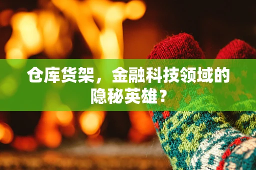 仓库货架，金融科技领域的隐秘英雄？