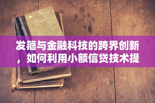 发箍与金融科技的跨界创新，如何利用小额信贷技术提升微小企业主的形象与信用？