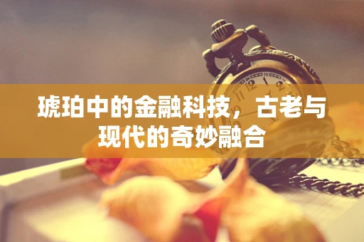 琥珀中的金融科技，古老与现代的奇妙融合