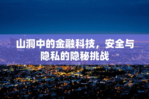 山洞中的金融科技，安全与隐私的隐秘挑战