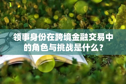 领事身份在跨境金融交易中的角色与挑战是什么？