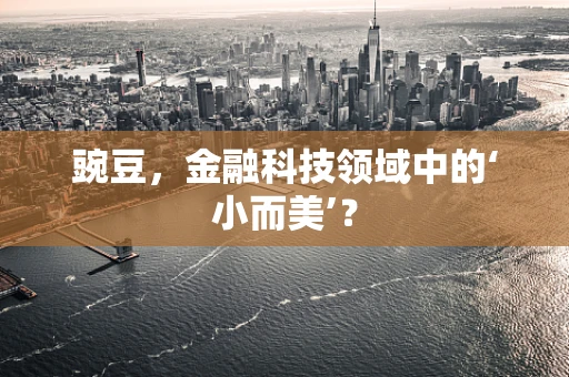 豌豆，金融科技领域中的‘小而美’？