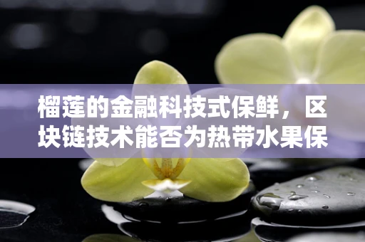 榴莲的金融科技式保鲜，区块链技术能否为热带水果保驾护航？