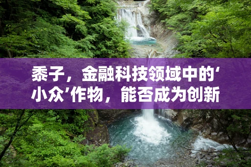 黍子，金融科技领域中的‘小众’作物，能否成为创新土壤的‘金种子’？