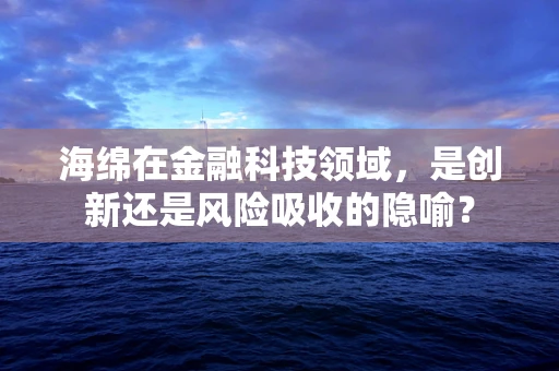 海绵在金融科技领域，是创新还是风险吸收的隐喻？