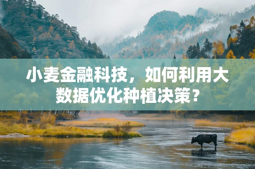小麦金融科技，如何利用大数据优化种植决策？