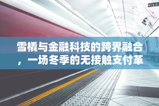 雪橇与金融科技的跨界融合，一场冬季的无接触支付革命？