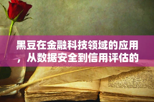 黑豆在金融科技领域的应用，从数据安全到信用评估的‘隐形力量’