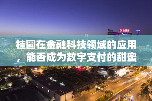 桂圆在金融科技领域的应用，能否成为数字支付的甜蜜新宠？