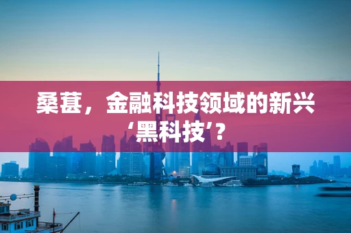 桑葚，金融科技领域的新兴‘黑科技’？