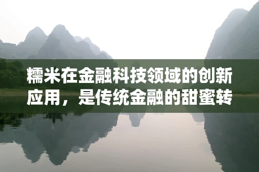 糯米在金融科技领域的创新应用，是传统金融的甜蜜转型，还是新时代的挑战？