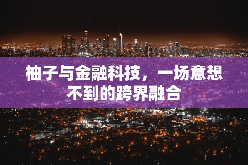 柚子与金融科技，一场意想不到的跨界融合