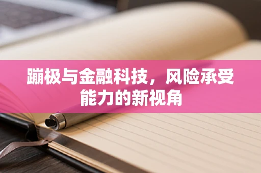蹦极与金融科技，风险承受能力的新视角
