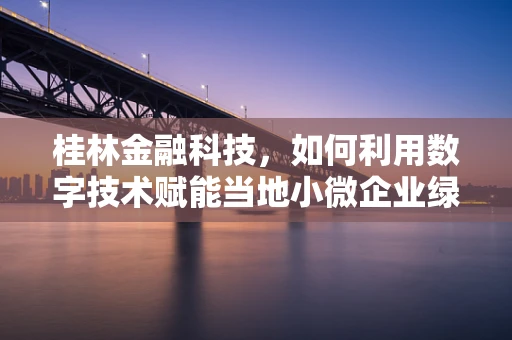 桂林金融科技，如何利用数字技术赋能当地小微企业绿色发展？