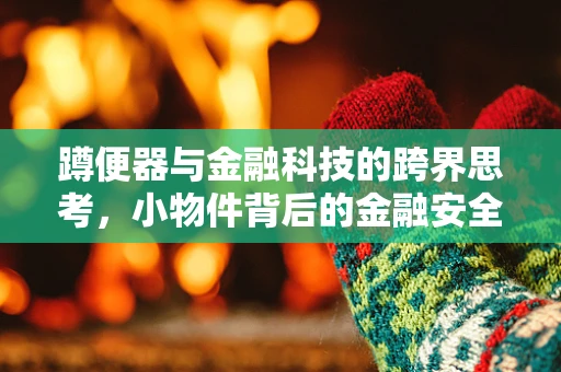 蹲便器与金融科技的跨界思考，小物件背后的金融安全与用户体验创新