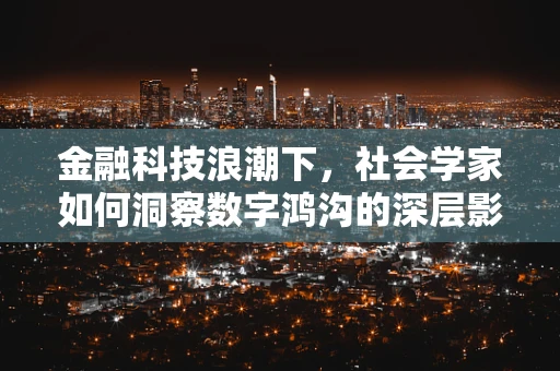 金融科技浪潮下，社会学家如何洞察数字鸿沟的深层影响？
