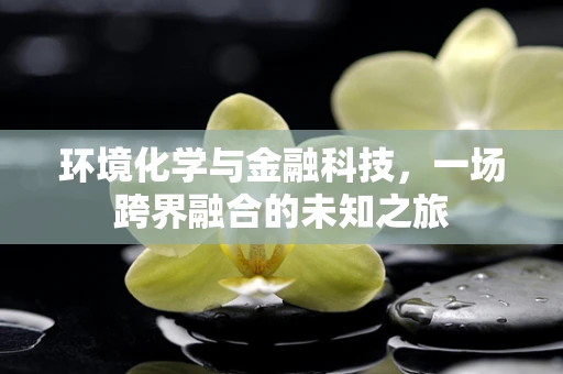 环境化学与金融科技，一场跨界融合的未知之旅