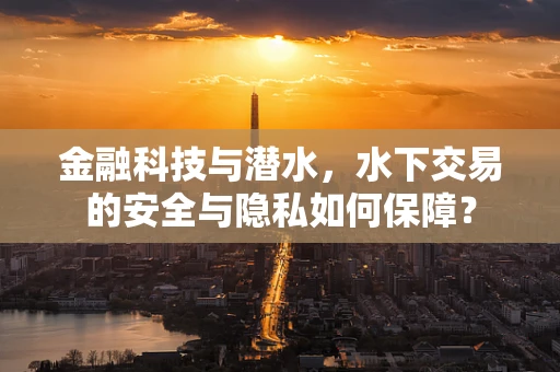 金融科技与潜水，水下交易的安全与隐私如何保障？