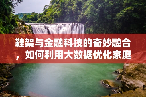 鞋架与金融科技的奇妙融合，如何利用大数据优化家庭财务布局？