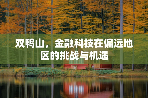 双鸭山，金融科技在偏远地区的挑战与机遇