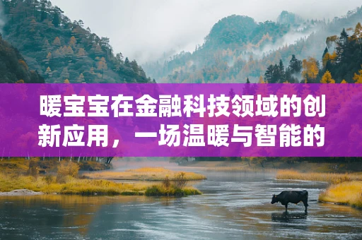暖宝宝在金融科技领域的创新应用，一场温暖与智能的跨界融合