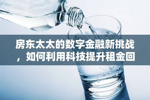 房东太太的数字金融新挑战，如何利用科技提升租金回收效率？