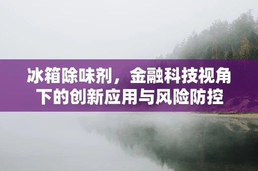 冰箱除味剂，金融科技视角下的创新应用与风险防控