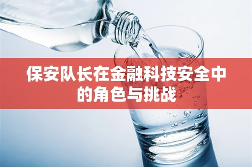 保安队长在金融科技安全中的角色与挑战