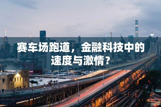赛车场跑道，金融科技中的速度与激情？