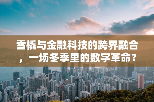 雪橇与金融科技的跨界融合，一场冬季里的数字革命？
