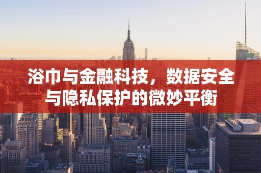 浴巾与金融科技，数据安全与隐私保护的微妙平衡