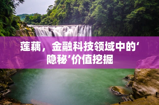 莲藕，金融科技领域中的‘隐秘’价值挖掘
