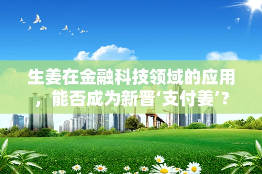生姜在金融科技领域的应用，能否成为新晋‘支付姜’？