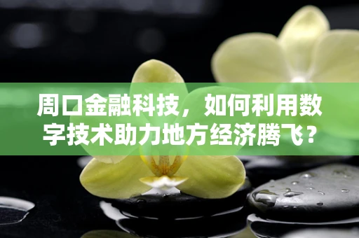 周口金融科技，如何利用数字技术助力地方经济腾飞？