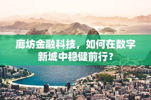 廊坊金融科技，如何在数字新城中稳健前行？