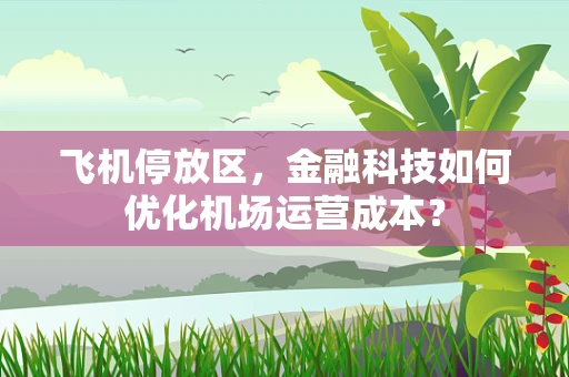 飞机停放区，金融科技如何优化机场运营成本？