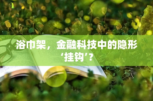 浴巾架，金融科技中的隐形‘挂钩’？
